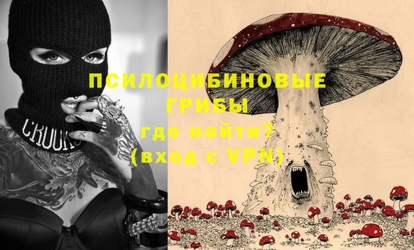 ALPHA PVP Коряжма